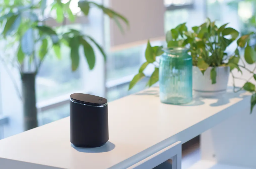 The Queen for We Partners – Mesh Wi-Fi for up to 3,000 sq. ft.